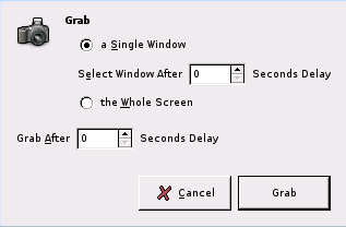 The Screen Shot window