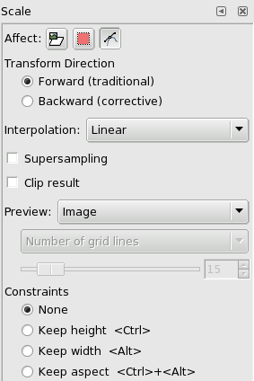 Scale tool options